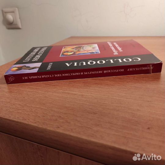 Л.Геллер.По русской литературе и окрестностям.303с