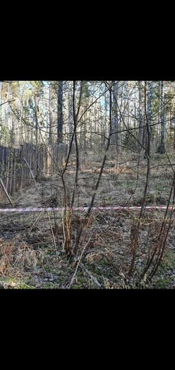 Участок 6 сот. (СНТ, ДНП)