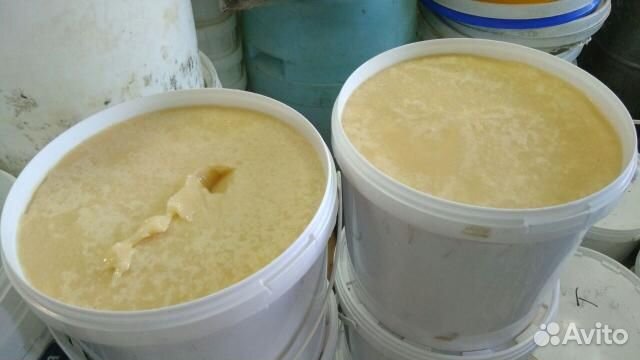 Мед Хлопковый (Куботейнер 30кг, 13кг) опт