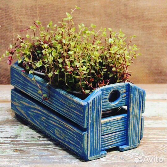 Кашпо для цветов