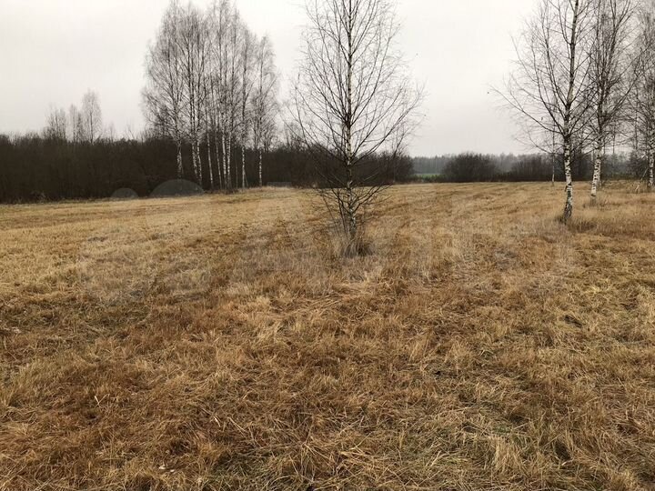 Участок 100 сот. (ИЖС)
