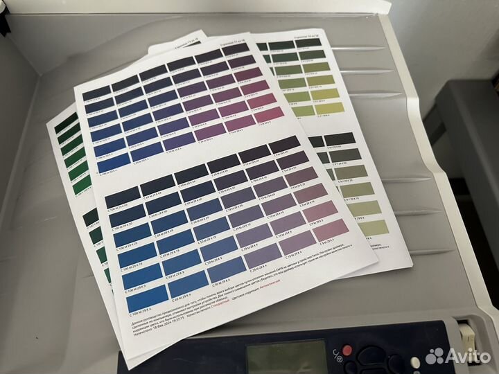 Цветной лазерный принтер xerox 7500