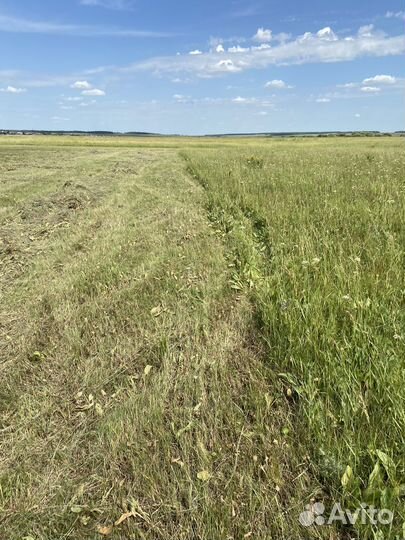 Сено в тюках