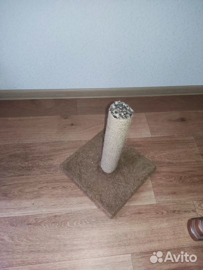 Когтеточка