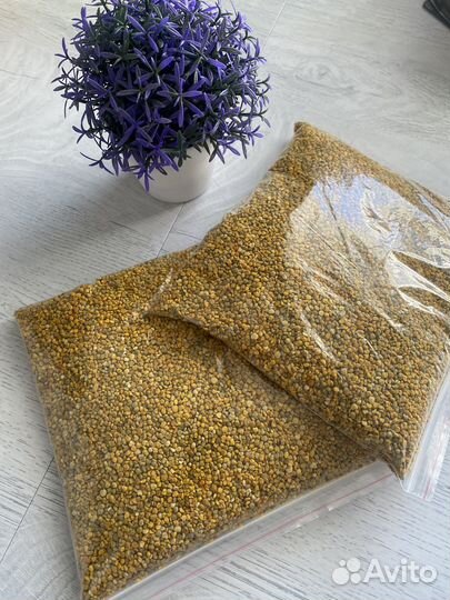 Пыльца пчелиная