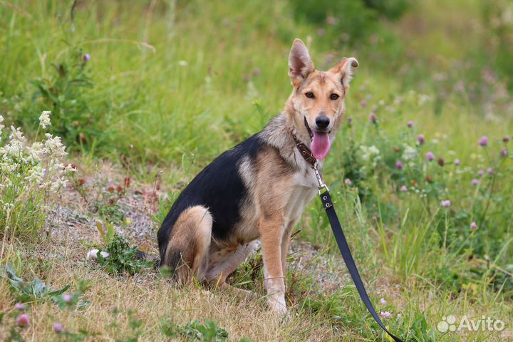 Ладный подросток