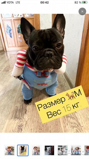 Смешные костюмы для собак