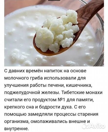 Тибетский кефирный (Молочный) гриб