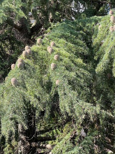 2-к. квартира, 65 м², 3/3 эт.