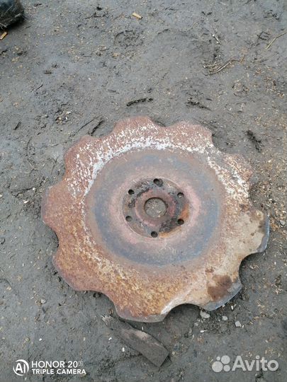 Ромашки дискатора