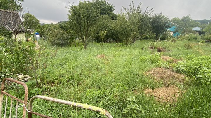 Участок 4,8 сот. (СНТ, ДНП)