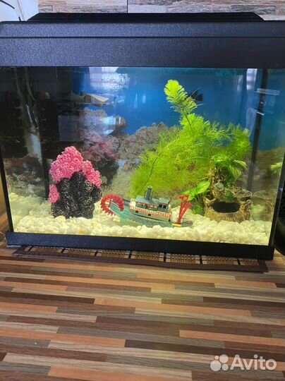 Аквариум