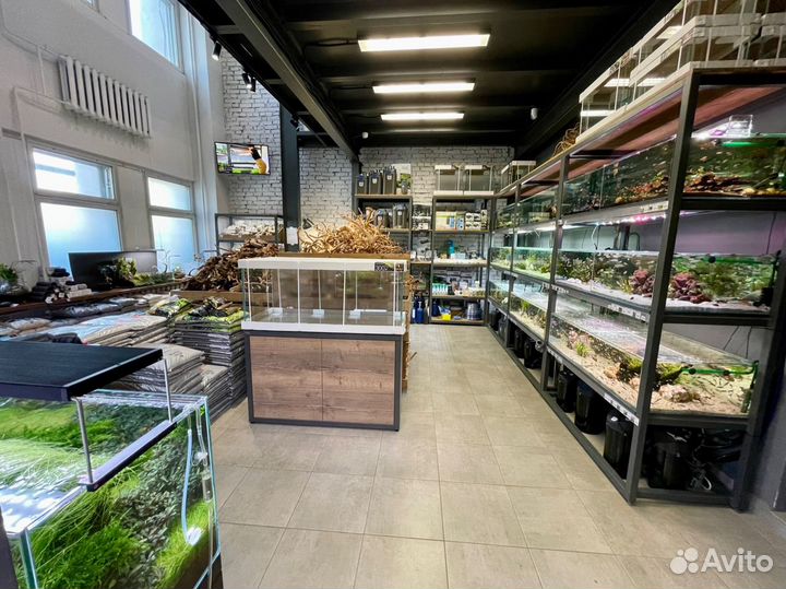 Продавец - аквариумист в аквариумную студию