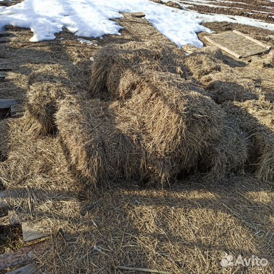 Сено для огорода