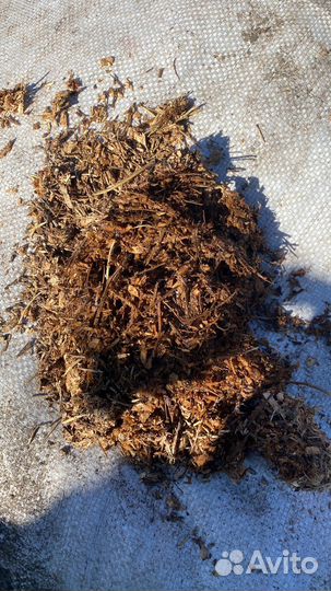 Перегной древесный