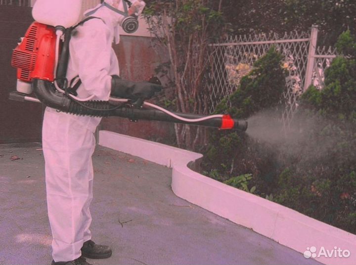 Обработка от насекомых, крыс, клопов