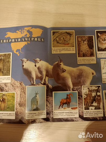 Журнал для наклеек Мир животных Панини