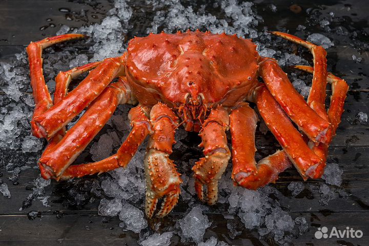 Камчатский краб (Подарочный)