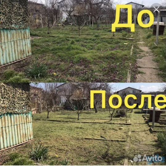 Уборка, расчистка участка. Вывоз мусора