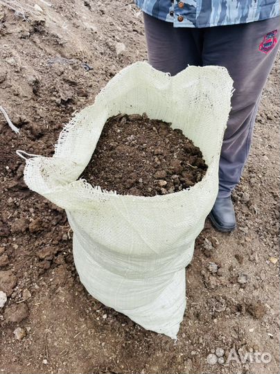 Перегной навоз коровий