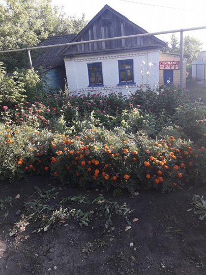 Дом 40 м² на участке 8 сот.