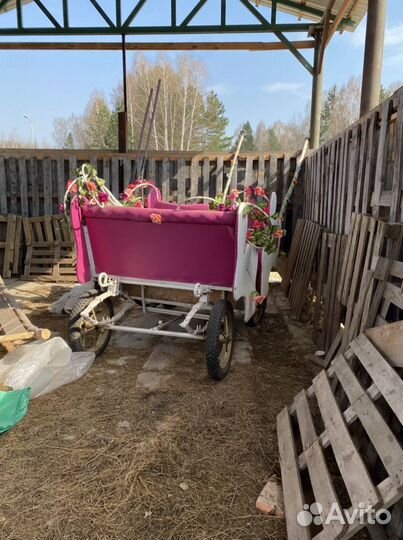 Фаетон Карета Повозка для катания на лошадях