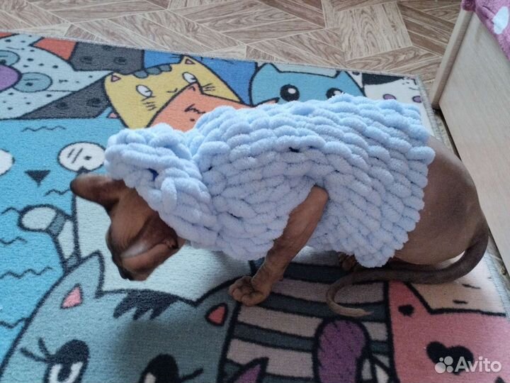 Одежда для животных