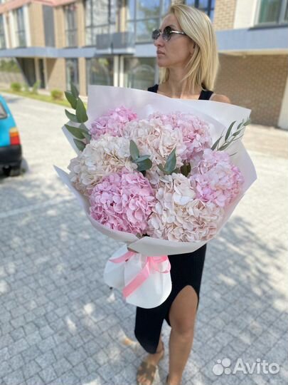 Шикарный монобукет из колумбийских гортензий