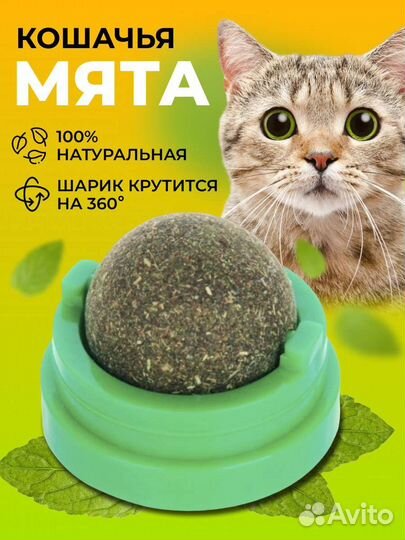 Лакомства для кошек