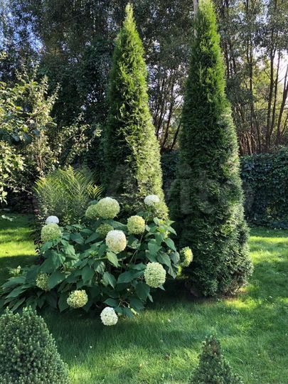 Коттедж 100 м² на участке 7 сот.