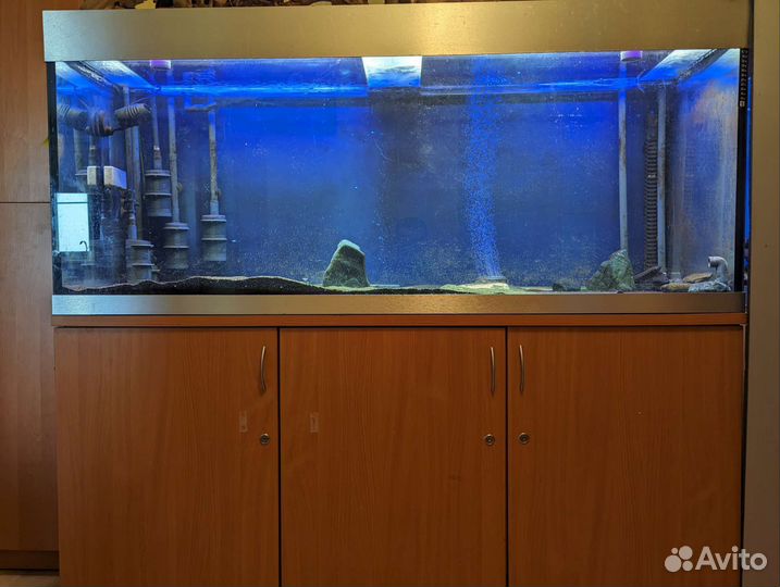 Аквариумы с тумбой светом, фильтры eheim