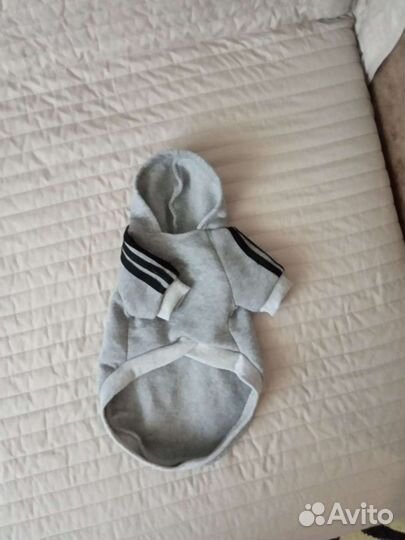 Худи для собачек