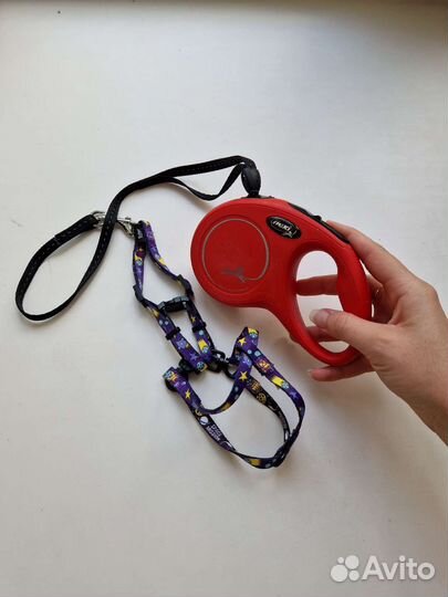 Ошейник с поводком