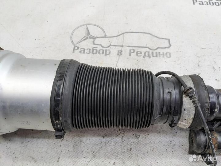 Пневмостойка передняя w220 S-class 113.966 19.0