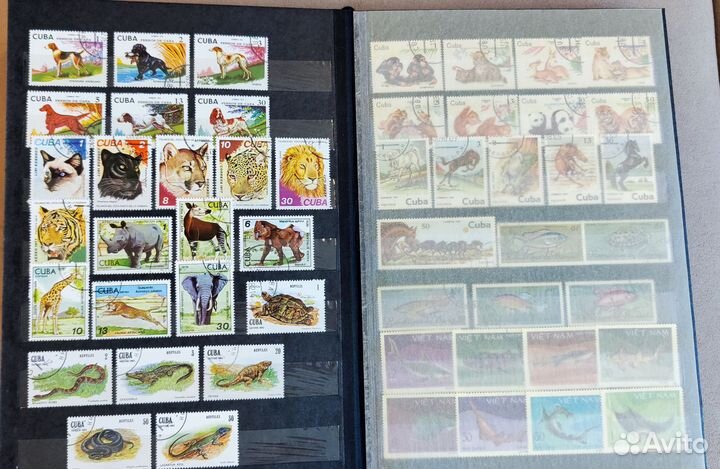 Коллекция марок 