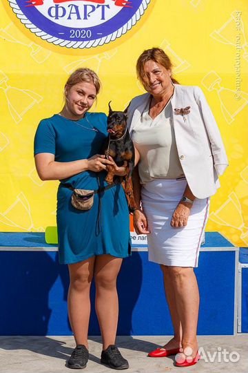 Услуги хендлера