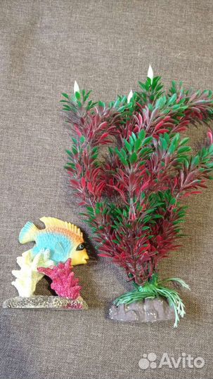 Для аквариума