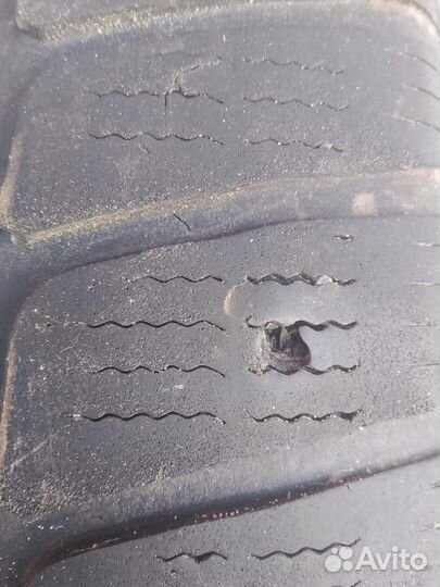 Dunlop All Season Maxx AS1 205/10 R20