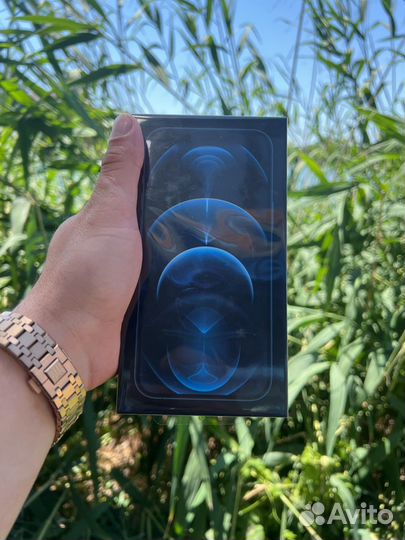 iPhone 12 Pro Max, 256 ГБ