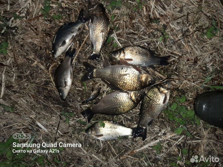 Платная рыбалка, отдых