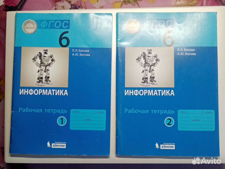 Тетради школьные (информатика 6-7 по 2 части)