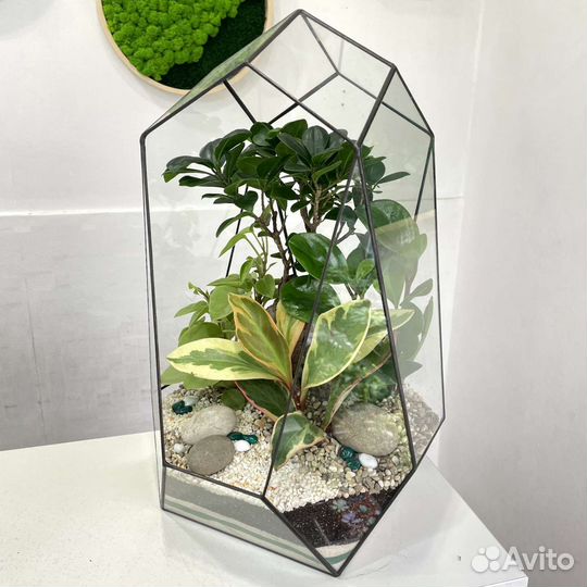 Флорариум 