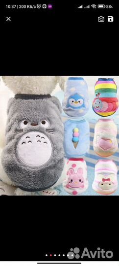 Одежда для собак