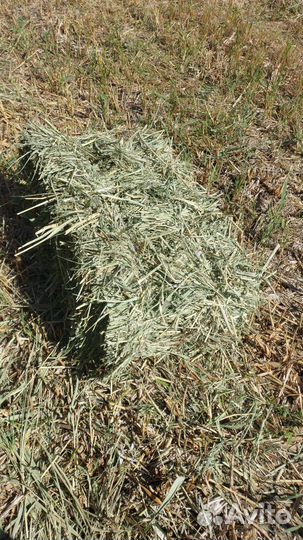 Продам сено в тюках