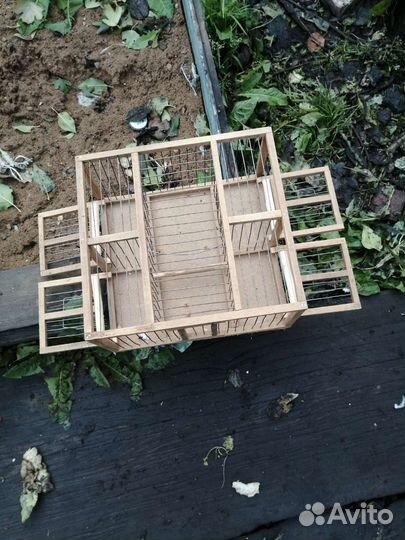 Хлопки для птиц