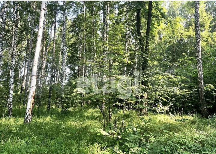 Участок 9 сот. (СНТ, ДНП)