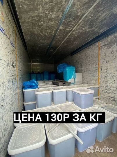 Оптом Мед с Алтая