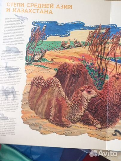 Книги детская литература