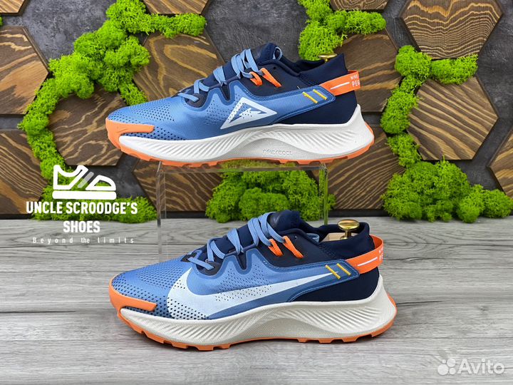 Кроссовки Nike Pegasus Trail 2