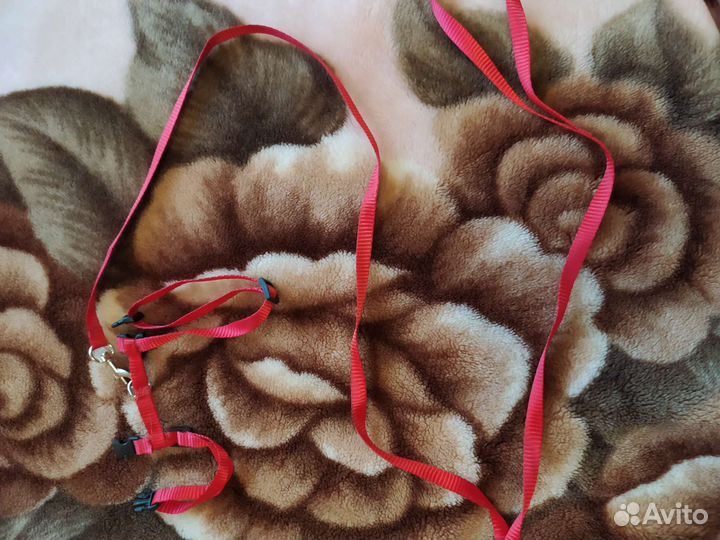 Шлейка для кошки